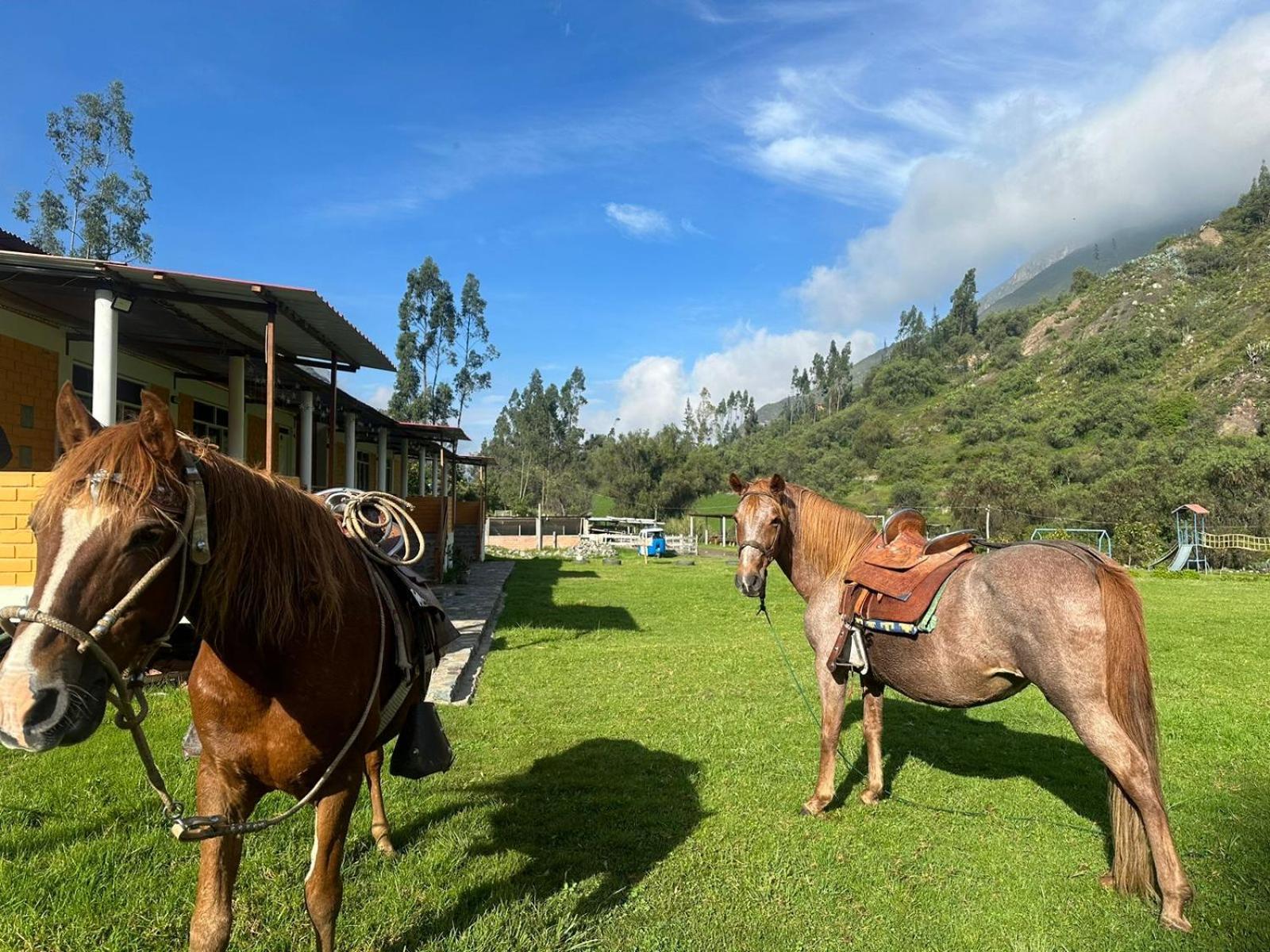 Tambo Lodge קאנטה מראה חיצוני תמונה